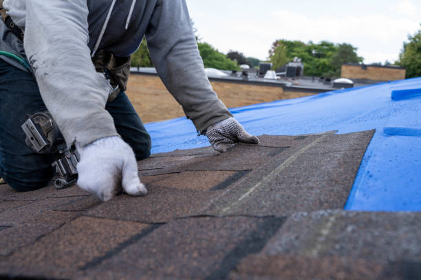Best Flat Roof Repair Services  in Tresckow, PA